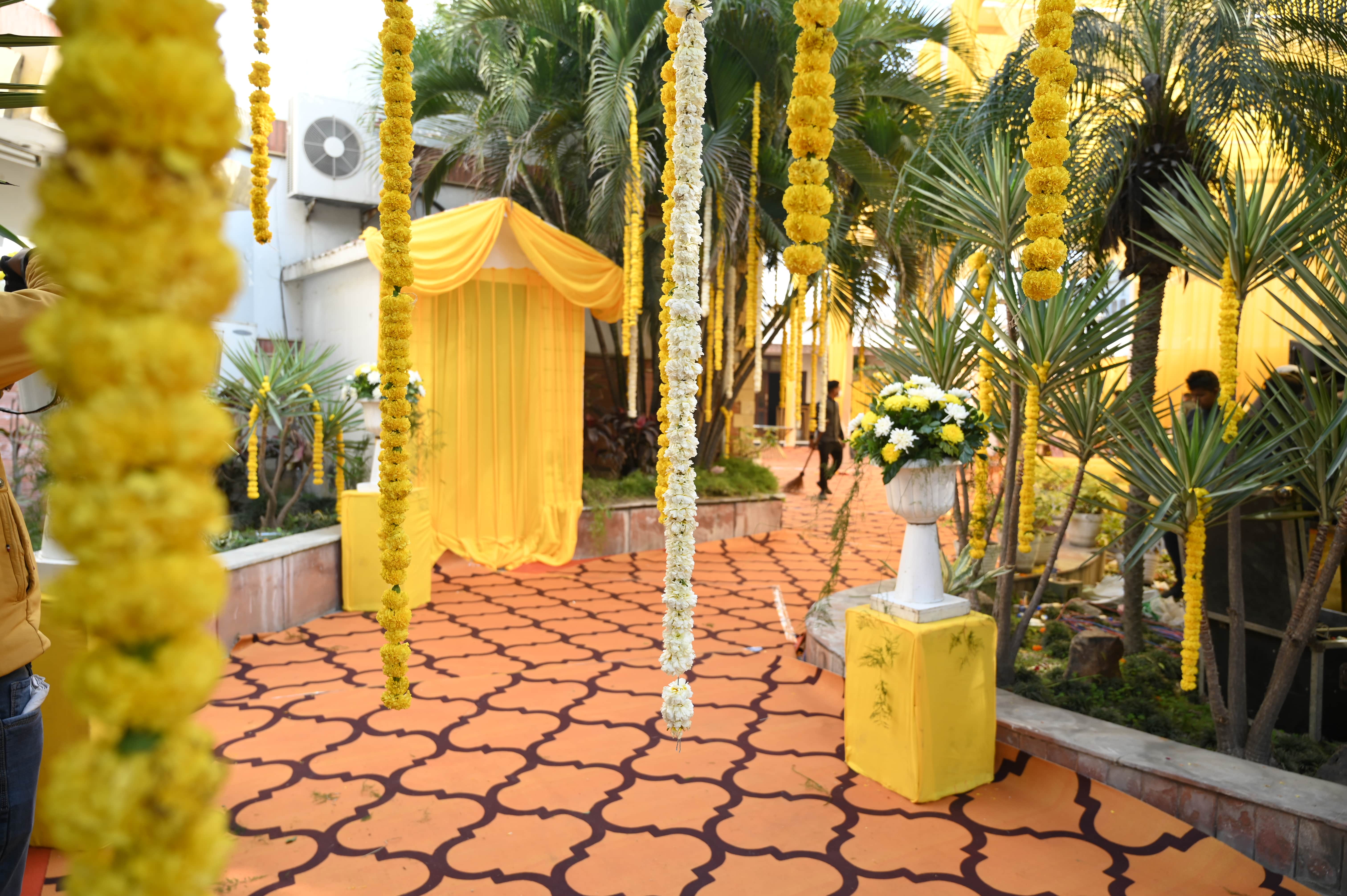 Palm Court